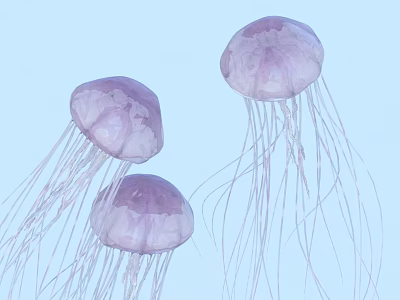 Three Purple Jellyfish Floating Gracefully In Light Blue Aquatic Water Scene 3d model