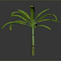 Banana Tree With Green Leaves Green And Yellow Trunk Against Gray And Black Gradient Background