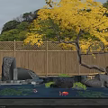Tranquil Water Fountain with Red Koi Fish Lily Pads and Yellow Tree by Bamboo Fence