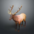 Realistic Standing Elk With Large Antlers And Brown Coat Against Gray Background