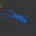 Golden Spider With Long Legs And Red Markings Close Up View