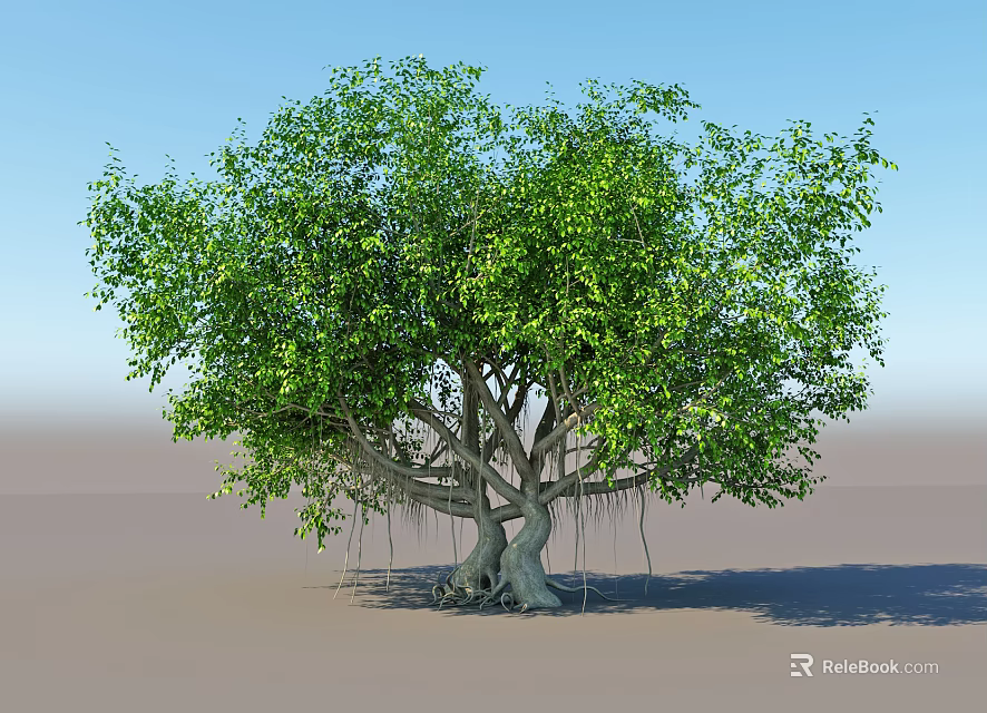 Lush Green Arbor With Aerial Roots Dense Foliage And Blue Sky 3d model 