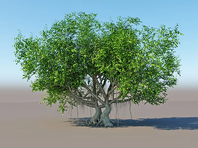 Lush Green Arbor With Aerial Roots Dense Foliage And Blue Sky 3d model