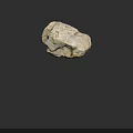 Natural Wood Stone With Rough Surface And Organic Texture Details