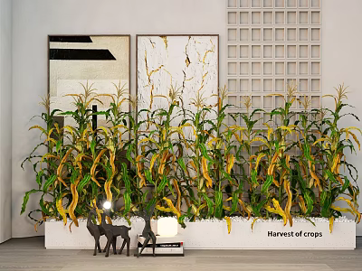 Decorative Harvest Corn Crops Plant Combination with Green Yellow Leaves in Modern Interior 3d model