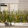 Decorative Harvest Corn Crops Plant Combination with Green Yellow Leaves in Modern Interior