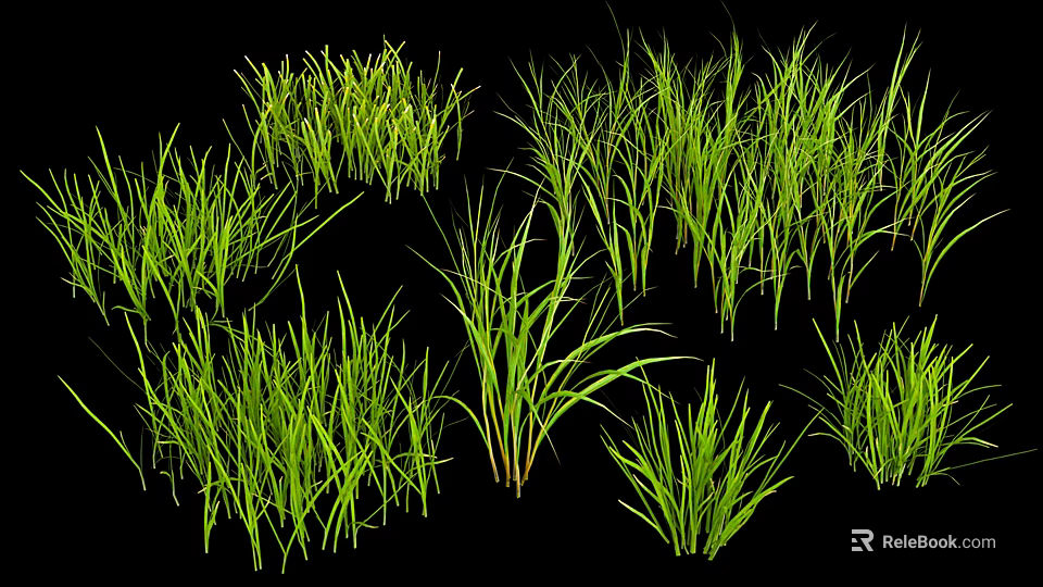 Various Green Natural Grass Types With Different Growth Shapes And Textures 3d model 