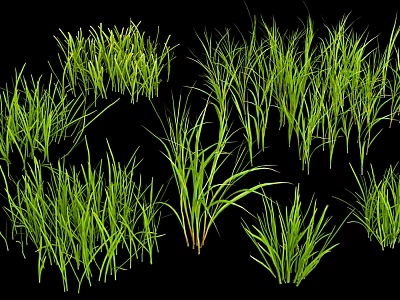 Various Green Natural Grass Types With Different Growth Shapes And Textures 3d model