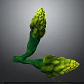 Fresh Green and Yellow Asparagus Stems Displaying Vibrant Vegetable Growth