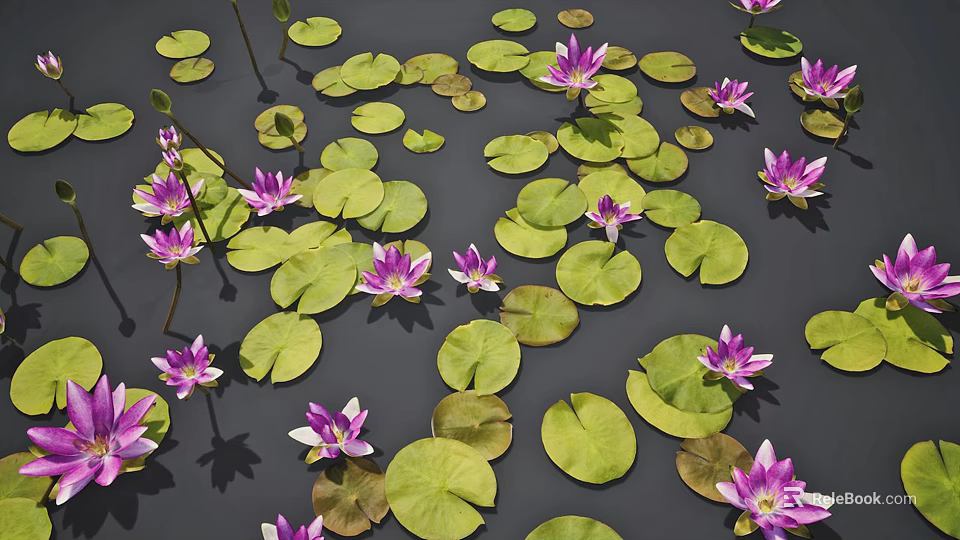 Vibrant Aquatic Plants With Green Lily Pads And Purple Water Lilies Floating On Water 3d model 