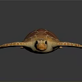 Brown and Orange Sea Turtle Displaying Textured Shell Patterned Flippers and Detailed Limbs 3d model
