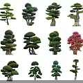 Various Artistically Shaped Arbor Trees With Different Forms For Garden Landscaping