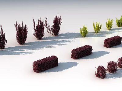 Modern shrub Lour 3d model