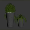 Lush Green Plants Arrangement With Fern And Bush In Gray Concrete Pots