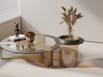 Modern Living Room Sofa Coffee Table Set with Glass Top Gold Frame and Dried Plants 3d model