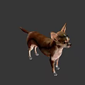 Game and Movie Character Chihuahua in Brown and White Standing Pose on Green Background
