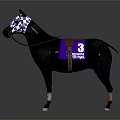 Black Racehorse with Checkered Mask Purple Saddle Pad and Number 3