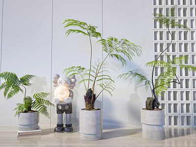 Bonsai Potted Fern Plants In Concrete Pots With Indoor Decorative Elements 3d model