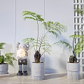 Bonsai Potted Fern Plants In Concrete Pots With Indoor Decorative Elements