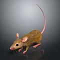 Realistic Brown Mouse With Long Tail And Pink Ears Standing On Dark Smooth Surface 3d model