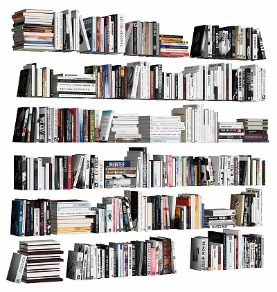 Books and Magazines Collection on Shelves with Various Colorful Covers 3d model