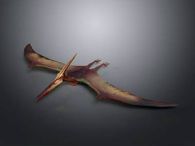 Flying Pterosaur Model With Spread Wings And Detailed Body Structure 3d model