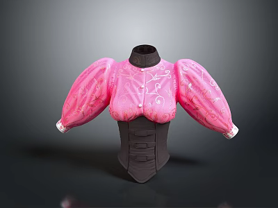 Gorgeous Style Pink Corset Leather Corset Pink Fabric Gorgeous Embroidered Corset Bubble Sleeve Black Background Women Clothing 3d model