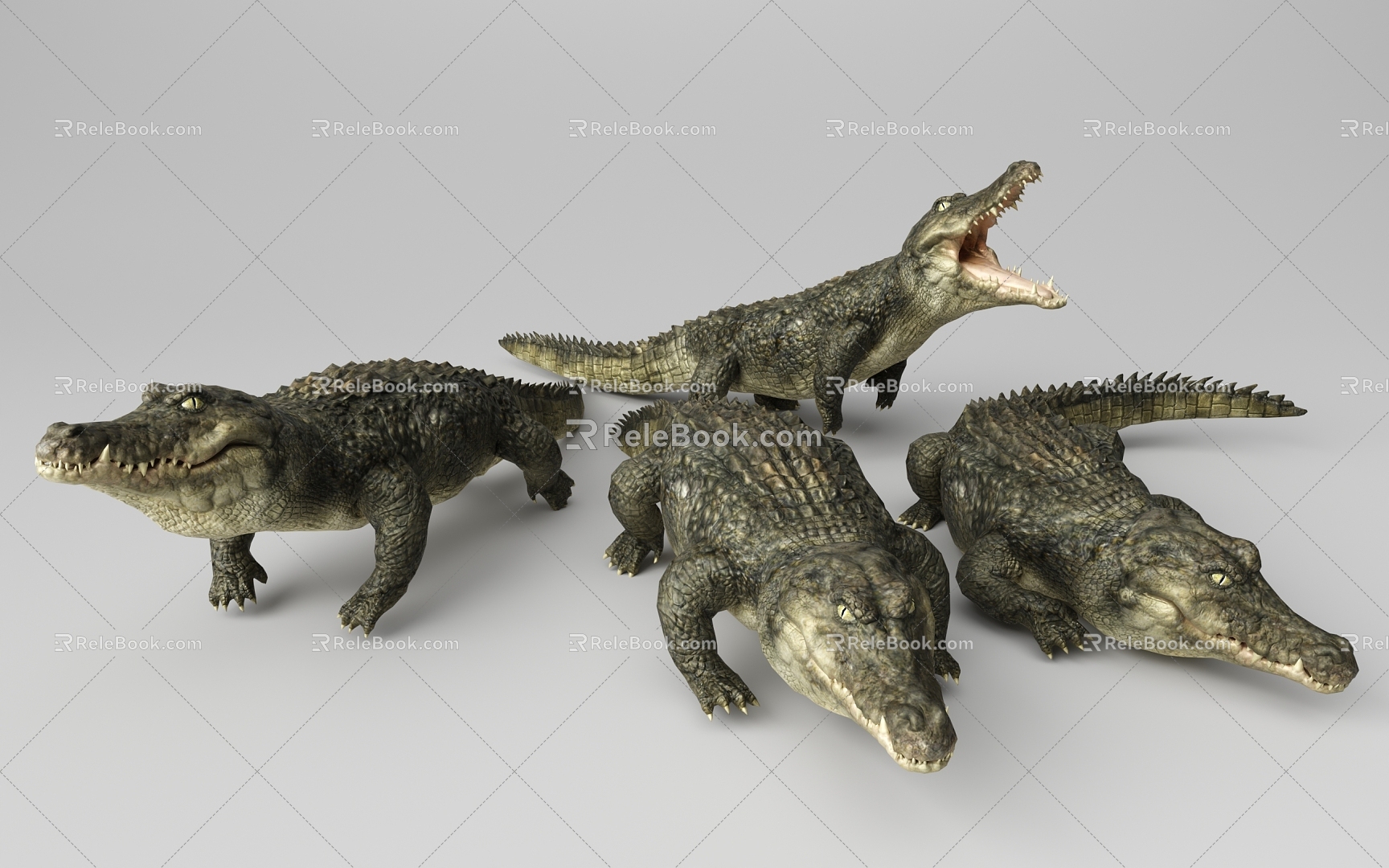 Crocodile 3d model