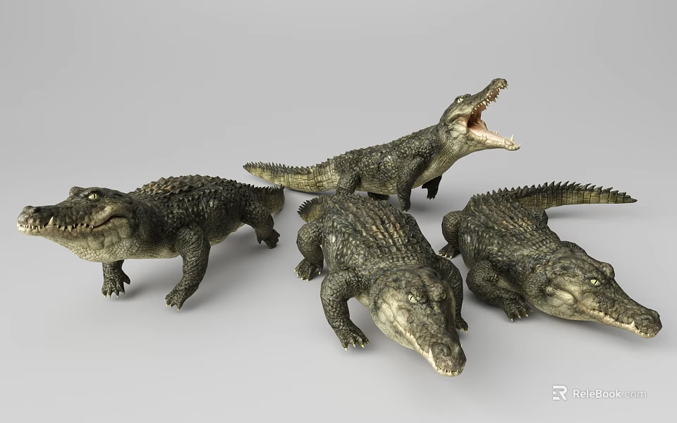 Realistic Aquatic Animal Crocodile Models in Various Poses with Scaly Skin Details 3d model 