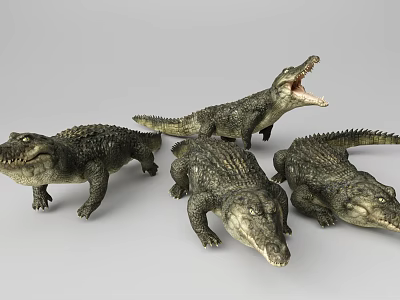 Realistic Aquatic Animal Crocodile Models in Various Poses with Scaly Skin Details 3d model