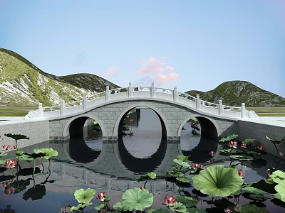 Stone Arch Bridge Featuring White Railings and Lotus Flowers on Water with Green Hills 3d model