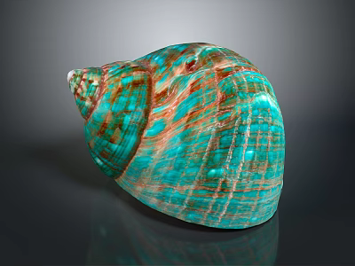 Turquoise and Brown Striped Conch Shell with Textured Surface on Dark Background 3d model