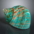 Turquoise and Brown Striped Conch Shell with Textured Surface on Dark Background 3d model