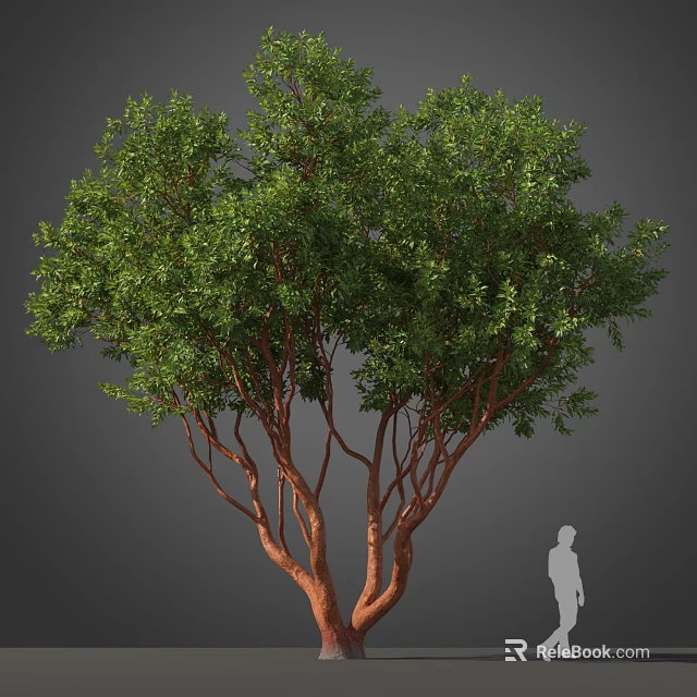 Tall Arbor Featuring Lush Green Leaves Brown Trunk Branches And Human Figure 3d model 
