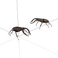 Two Stag Beetles With Prominent Mandibles On White Background 3d model