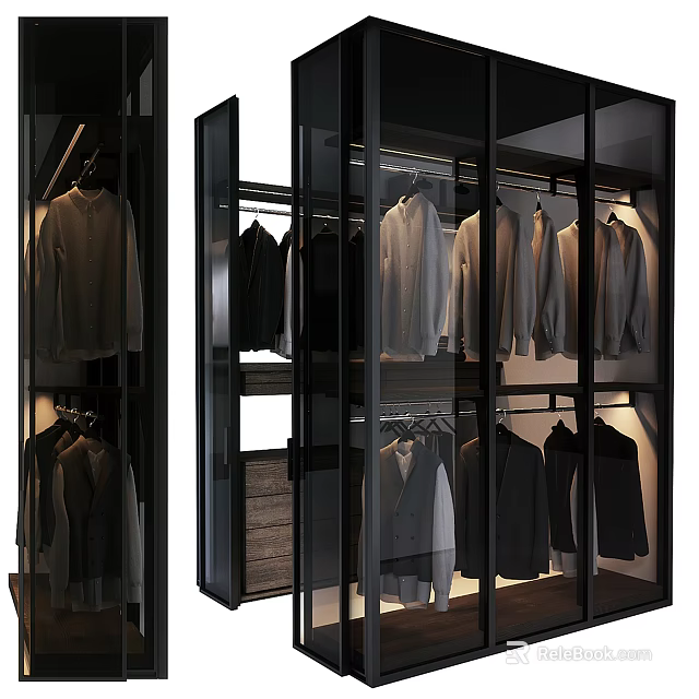 Modern Wardrobe With Glass Doors And Metal Frame For Hanging Clothes Storage 3d model 
