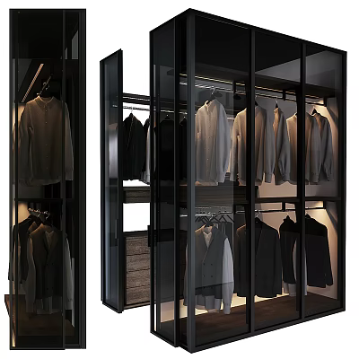 Modern Wardrobe With Glass Doors And Metal Frame For Hanging Clothes Storage 3d model