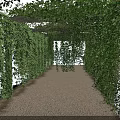 Lush Green Vines Covered Arched Pergola With Gravel Path And Sunlight Filtering