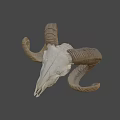 Detailed Ram Skull With Large Curved Horns On Black Background