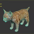 Lynx Kitten With Striped Orange Fur And Black Ear Tufts Standing On Reflective Surface