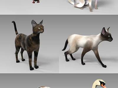 Various Reptile Species Such as Lizards Snakes and Turtles Habitat Guide 3d model