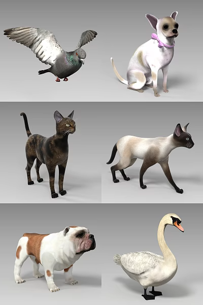 Various Reptile Species Such as Lizards Snakes and Turtles Habitat Guide 3d model