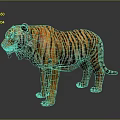 3D Tiger Model With Orange Black Stripes And Gray Background In Standing Pose 3d model