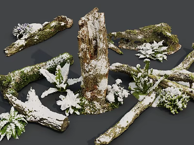 Natural Wood Logs And Stones With Moss Snow And Green Plants 3d model