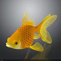 Orange and Yellow Goldfish With Scaly Texture On Black Background And Reflection 3d model