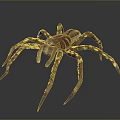Realistic 3D Spider Model With Brown Yellow Stripes And Multiple Legs On Gray Background 3d model