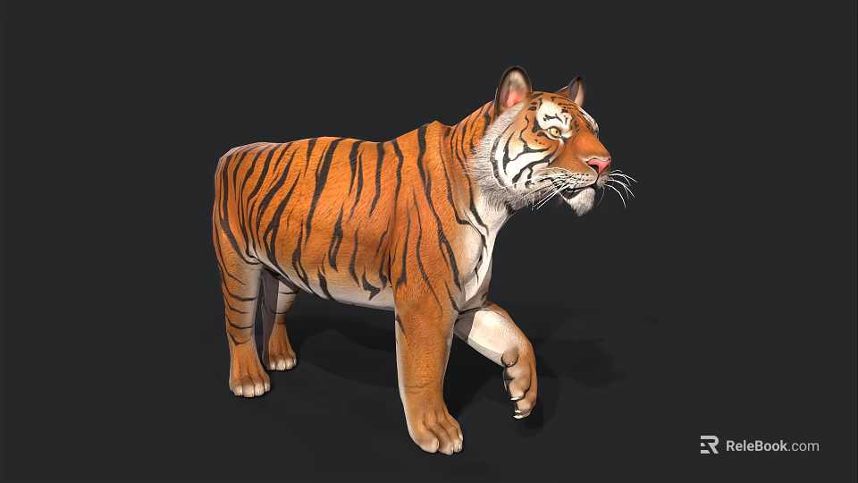 Realistic 3D Tiger Model With Orange Black Stripes And White Face Standing On Black Background 3d model 