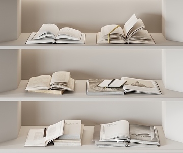 Modern Book Ornaments 3d model