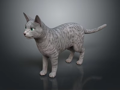 Gray Striped Cat Standing On Dark Background With Realistic Fur Texture 3d model