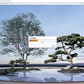 Landscape Tree Landscape Tree Pool Pohan Pine Arbor Pine 3d model
